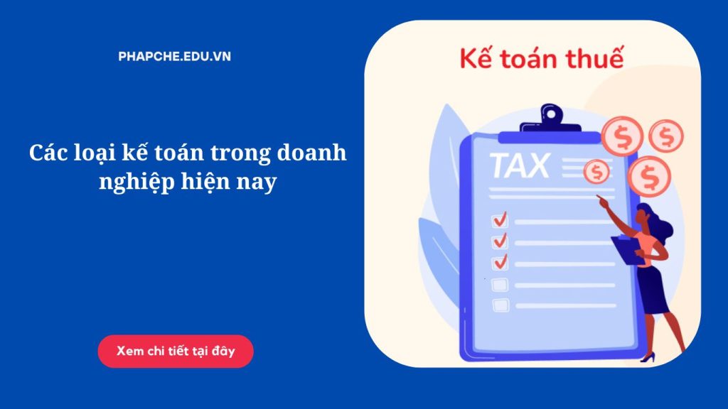 Các loại kế toán trong doanh nghiệp hiện nay