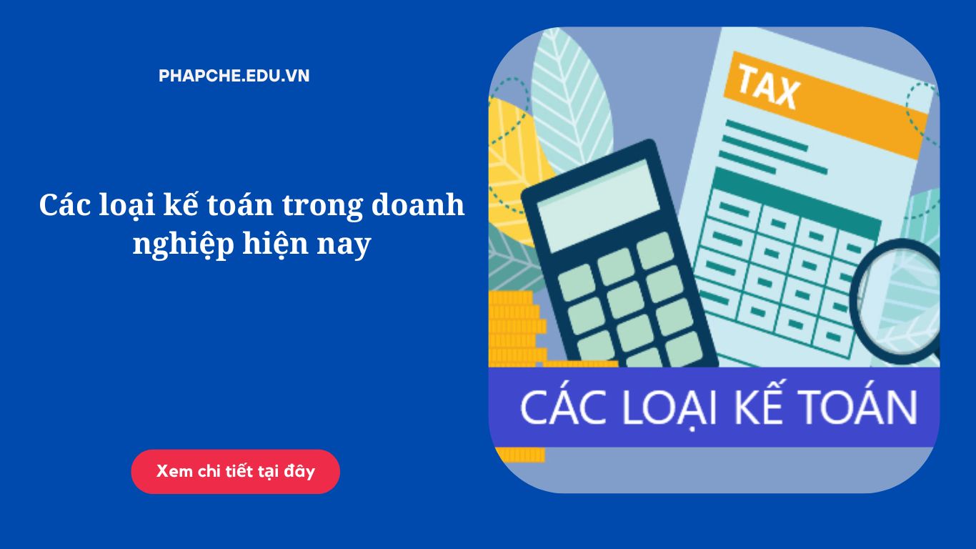 Các loại kế toán trong doanh nghiệp hiện nay