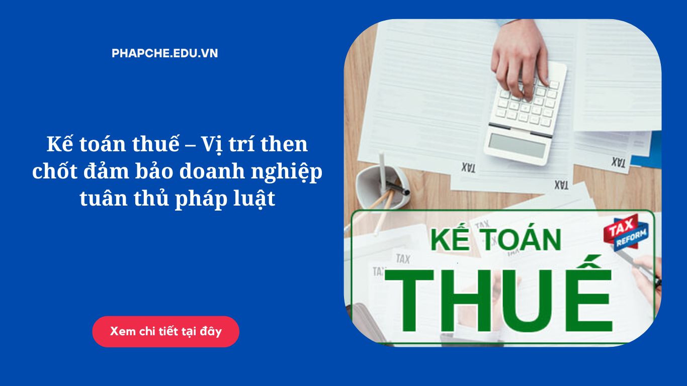 Kế toán thuế – Vị trí then chốt đảm bảo doanh nghiệp tuân thủ pháp luật