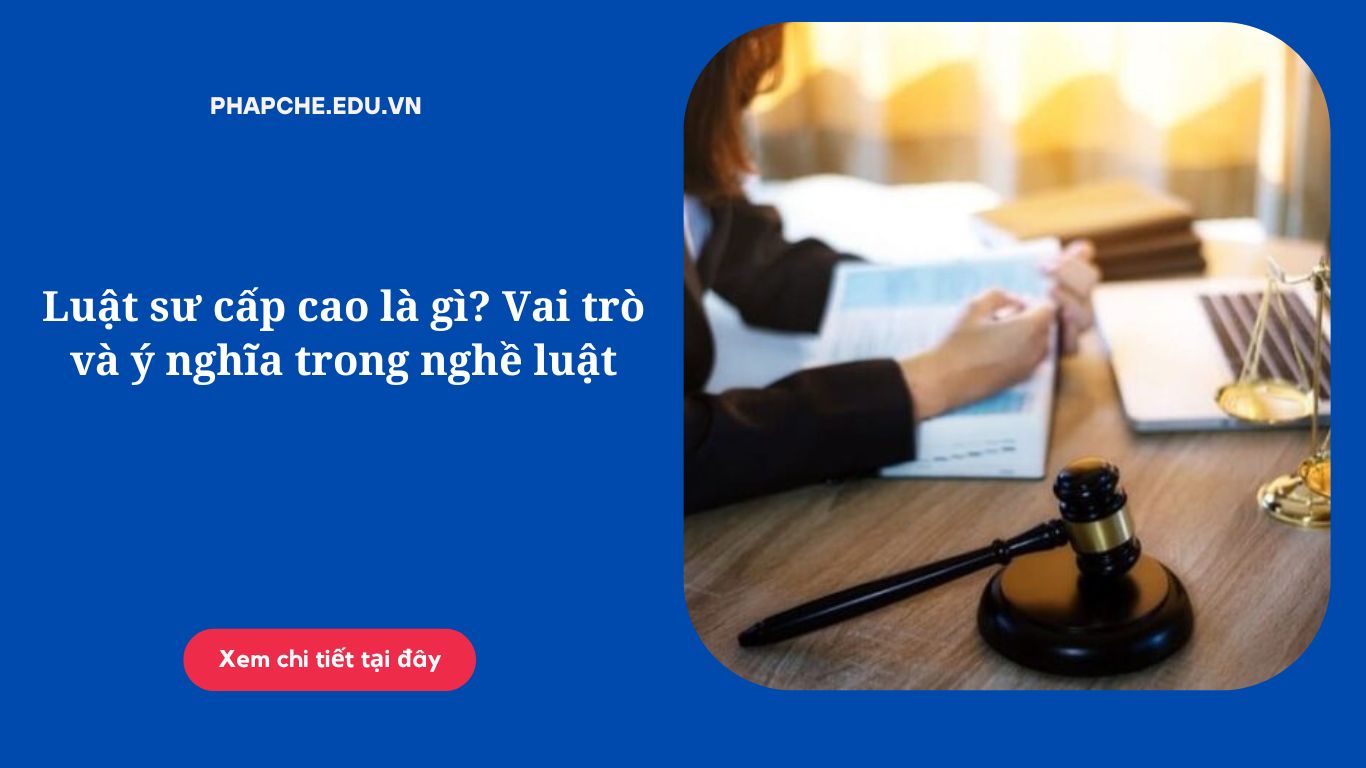 Luật sư cấp cao là gì? Vai trò và ý nghĩa trong nghề luật