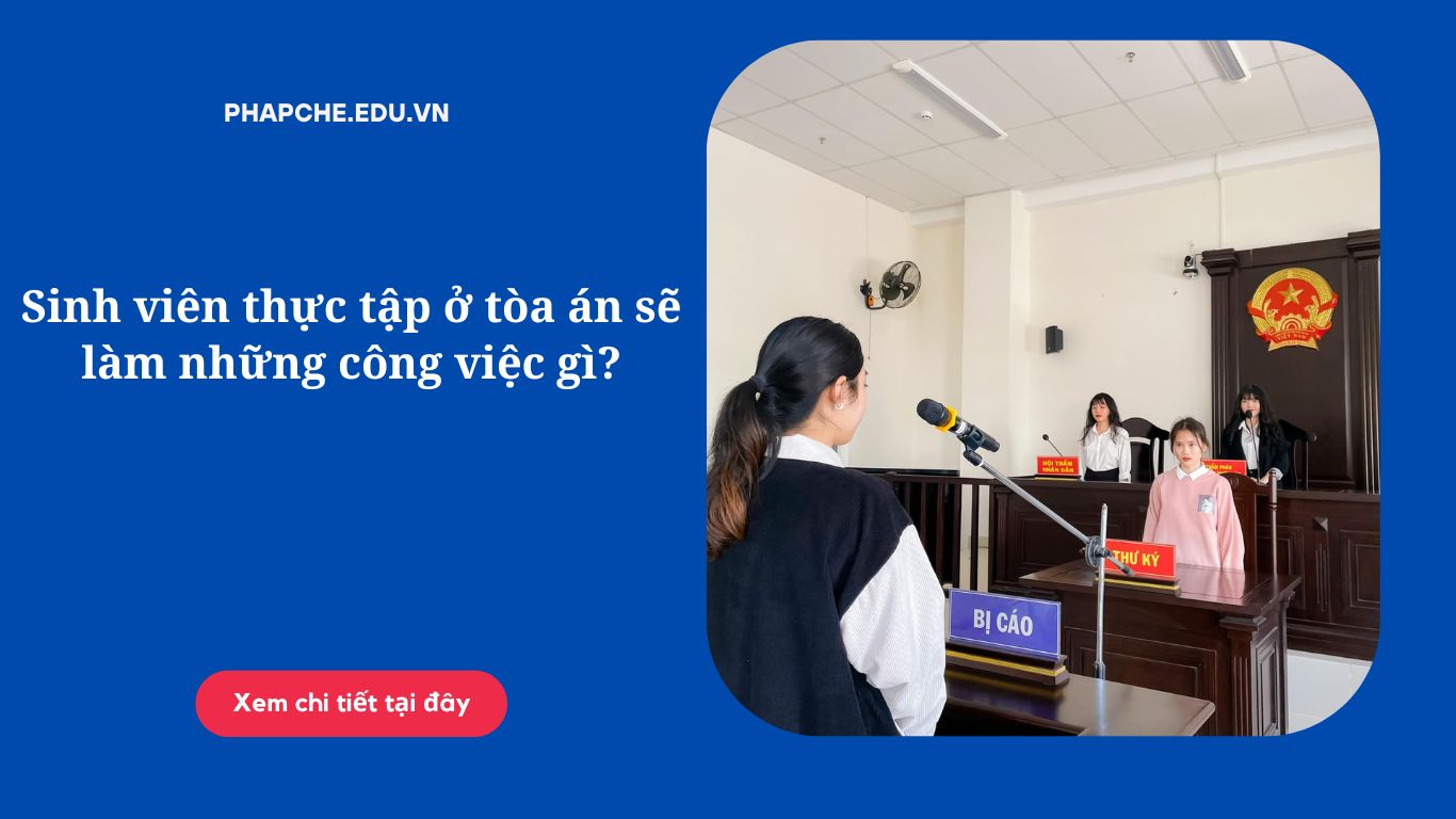Sinh viên thực tập ở tòa án sẽ làm những công việc gì?