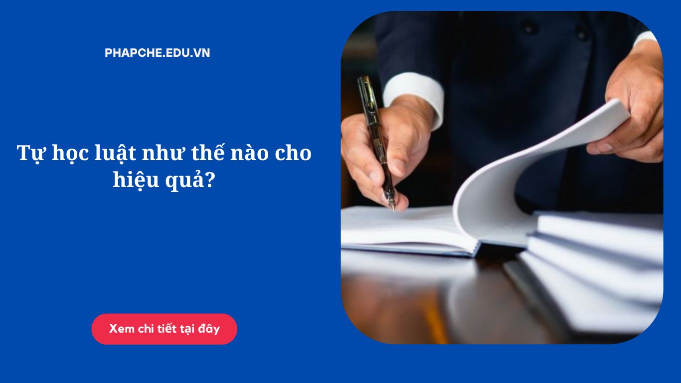 Tự học luật như thế nào cho hiệu quả?