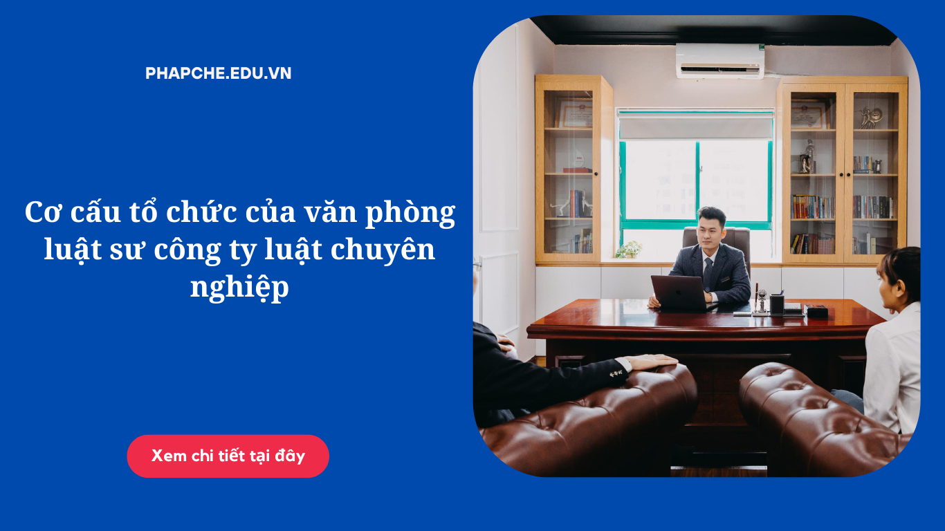 co-cau-to-chuc-cua-van-phong-luat-su-cong-ty-luat