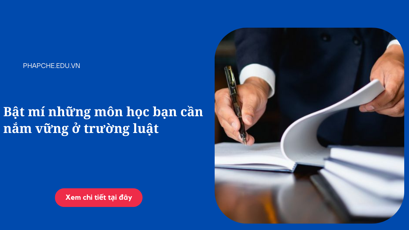 nhung-mon-hoc-ban-can-nam-vung-o-truong-luat