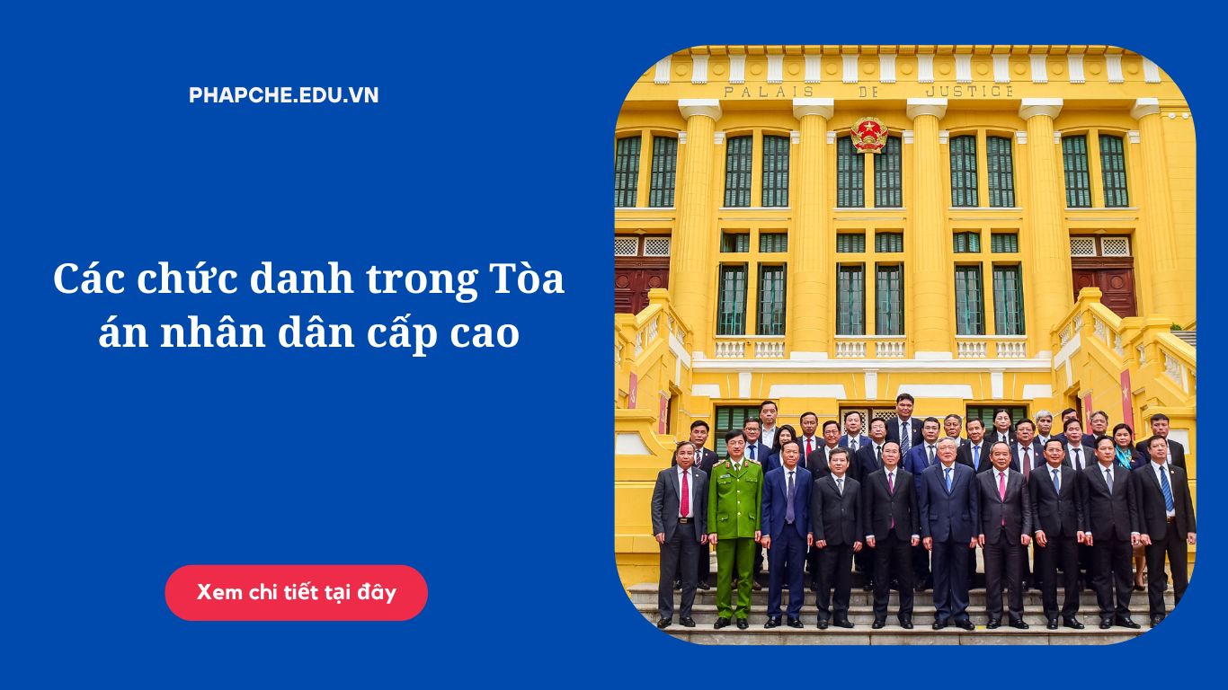 Các chức danh trong Tòa án nhân dân cấp cao