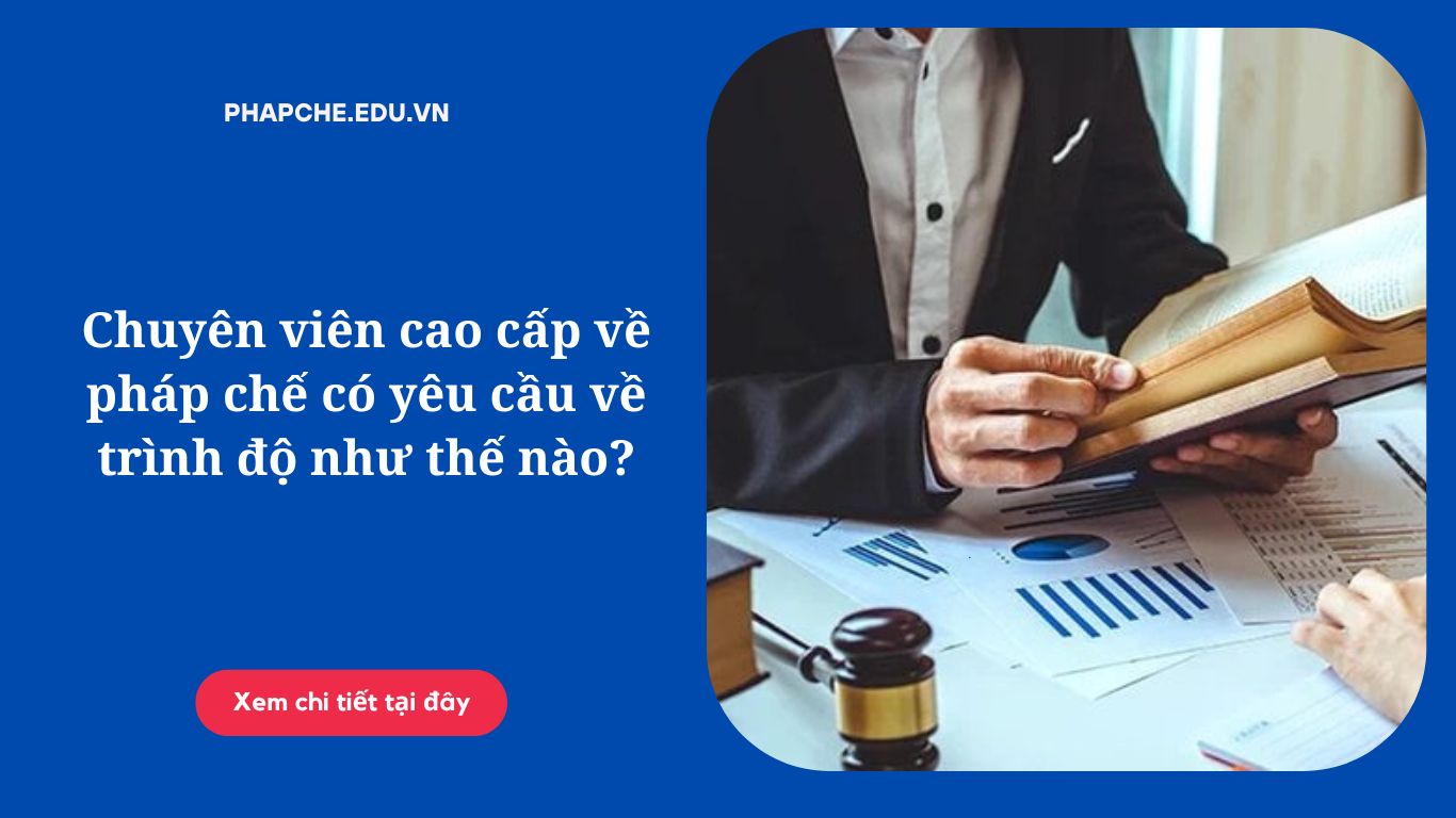 Chuyên viên cao cấp về pháp chế có yêu cầu về trình độ như thế nào?