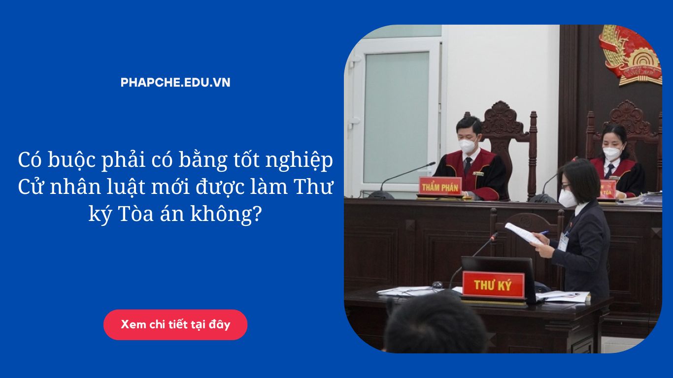 Có buộc phải có bằng tốt nghiệp Cử nhân luật mới được làm Thư ký Tòa án không?
