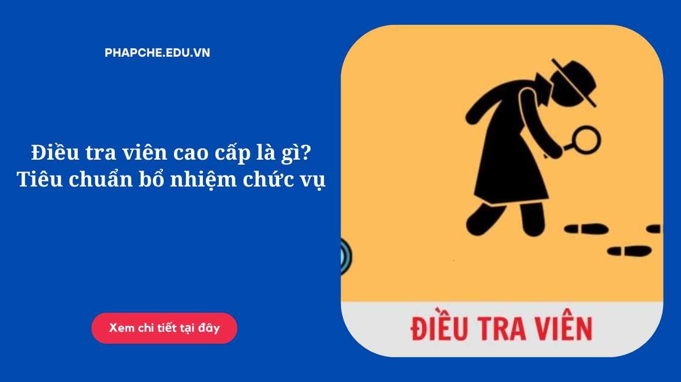 Điều tra viên cao cấp là gì? Tiêu chuẩn bổ nhiệm chức vụ