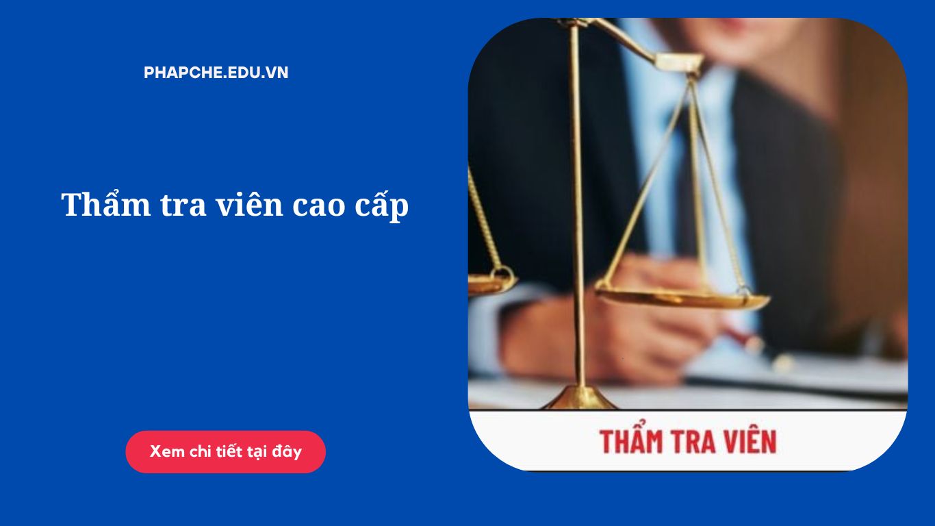 Thẩm tra viên cao cấp: Tiêu chuẩn, nhiệm vụ