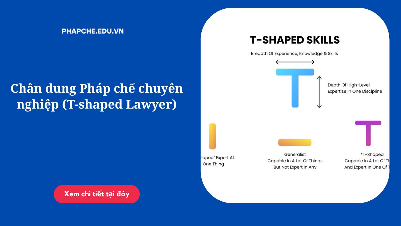 Chân dung Pháp chế chuyên nghiệp (T-shaped Lawyer)