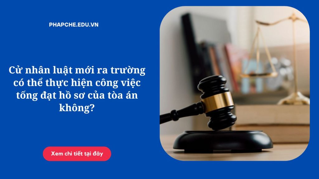 Cử nhân luật mới ra trường có thể thực hiện công việc tống đạt hồ sơ của tòa án không?