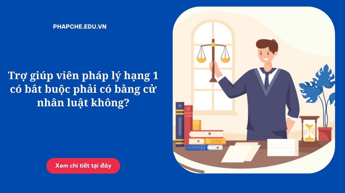 Trợ giúp viên pháp lý hạng 1 có bắt buộc phải có bằng cử nhân luật không;