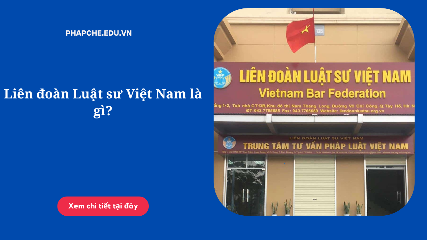 lien-doan-luat-su-viet-nam-la-gi
