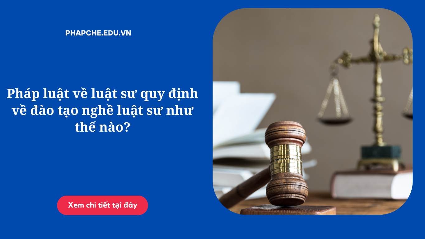 phap-luat-ve-luat-su-quy-dinh-ve-dao-tao-nghe-luat-su-nhu-the-nao