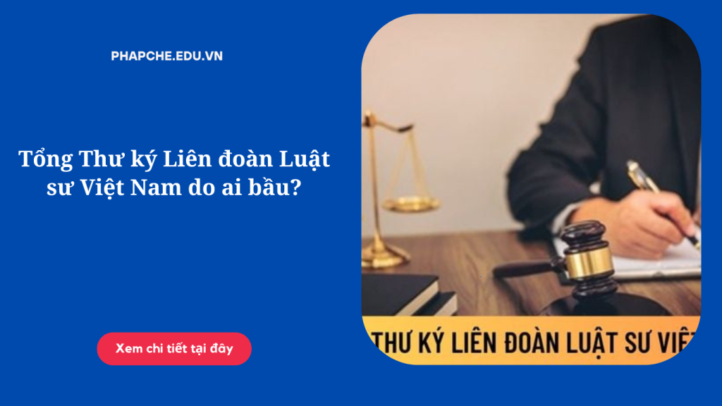 tong-thu-ky-lien-doan-luat-su-viet-nam-do-ai-bau