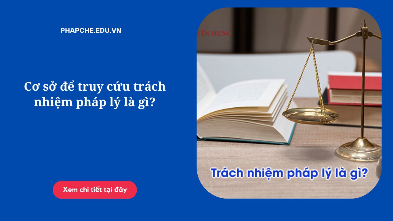 Cơ sở để truy cứu trách nhiệm pháp lý là gì?
