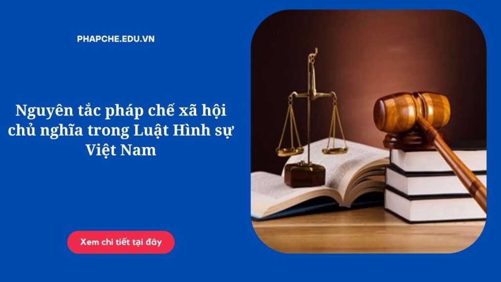 Nguyên tắc pháp chế xã hội chủ nghĩa trong Luật Hình sự Việt Nam;