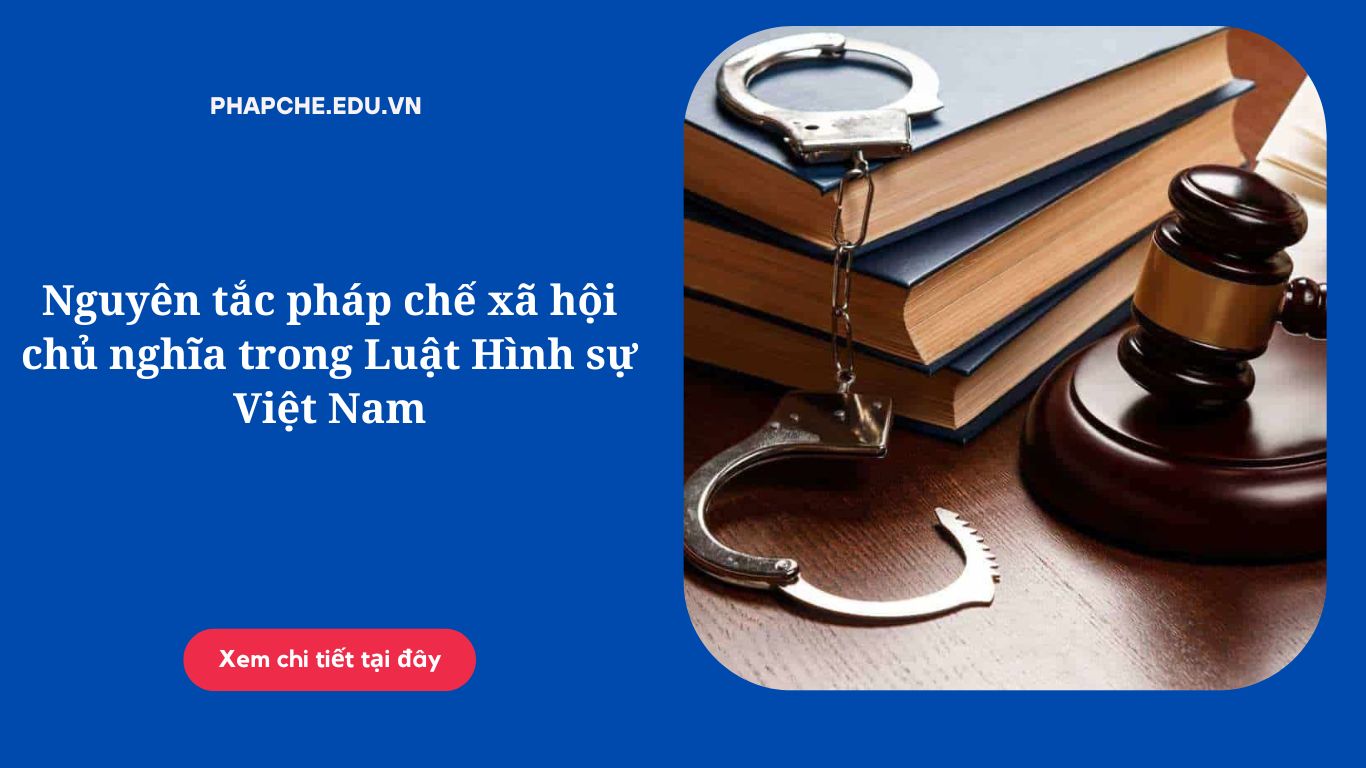 Nguyên tắc pháp chế xã hội chủ nghĩa trong Luật Hình sự Việt Nam