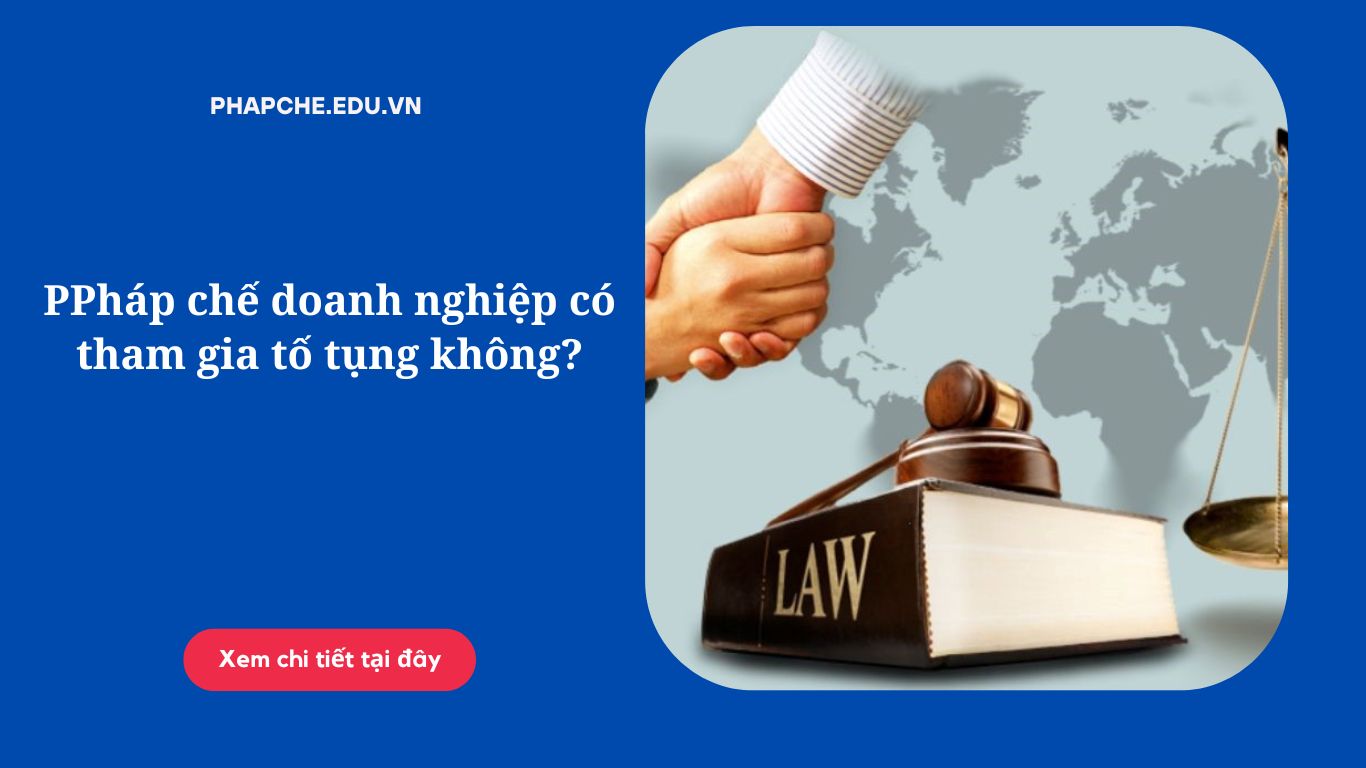 Pháp chế doanh nghiệp có tham gia tố tụng không?
