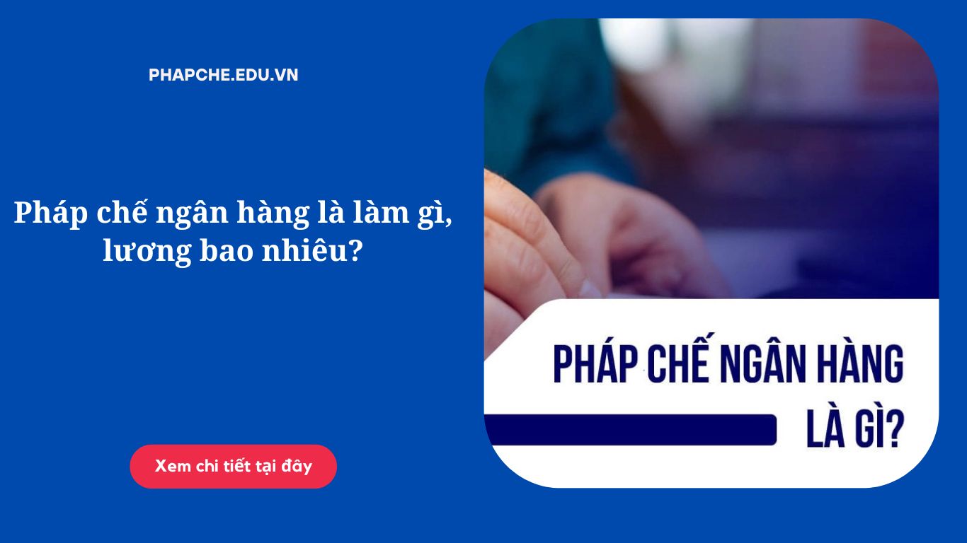 Pháp chế ngân hàng là làm gì, lương bao nhiêu?
