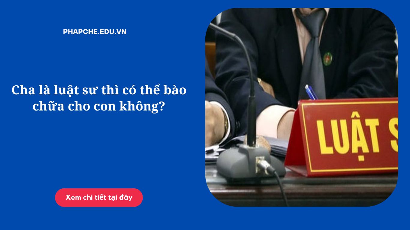 cha-la-luat-su-thi-co-the-bao-chua-cho-con-khong