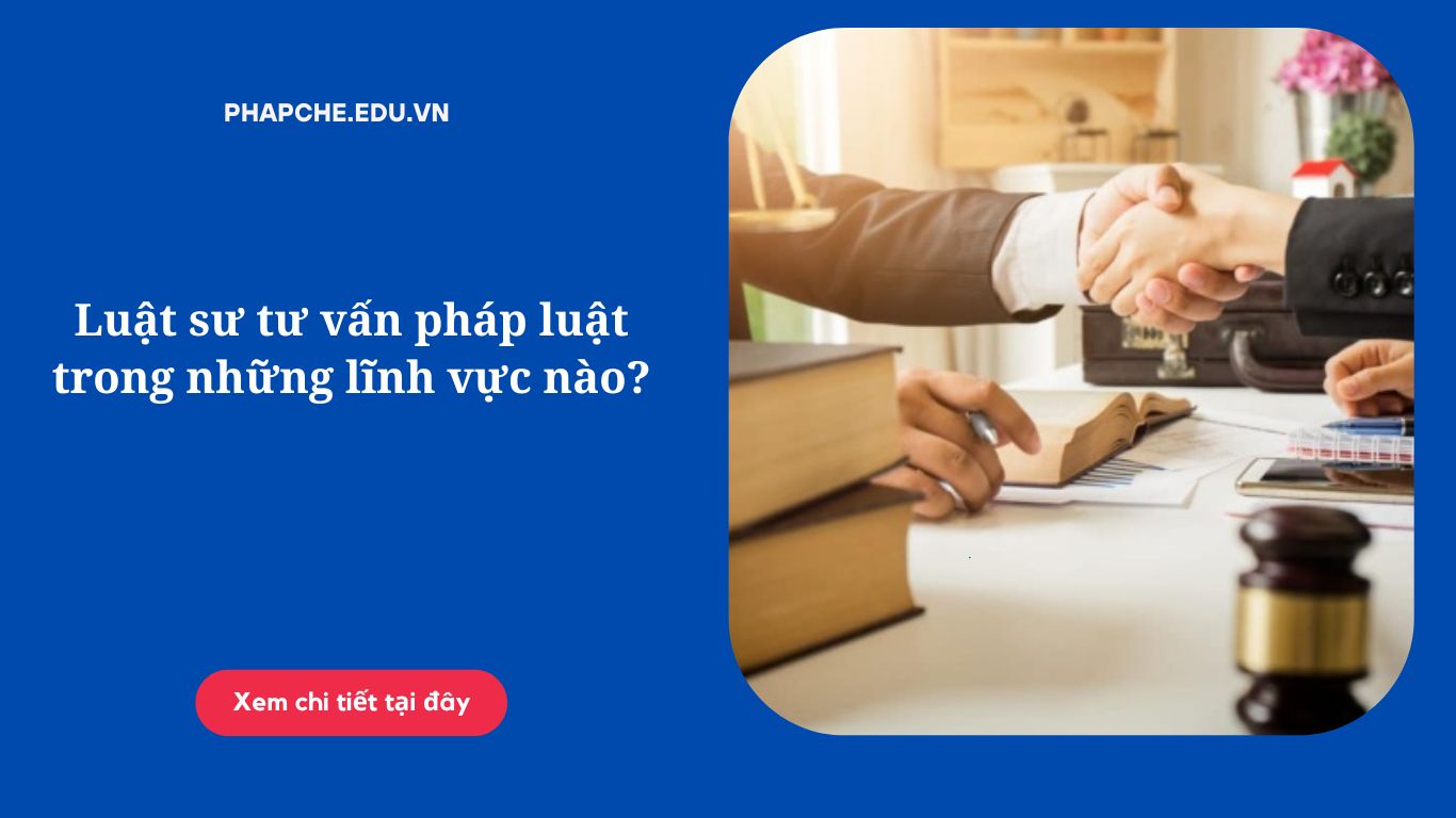 luat-su-tu-van-phap-luat-trong-nhung-linh-vuc-nao