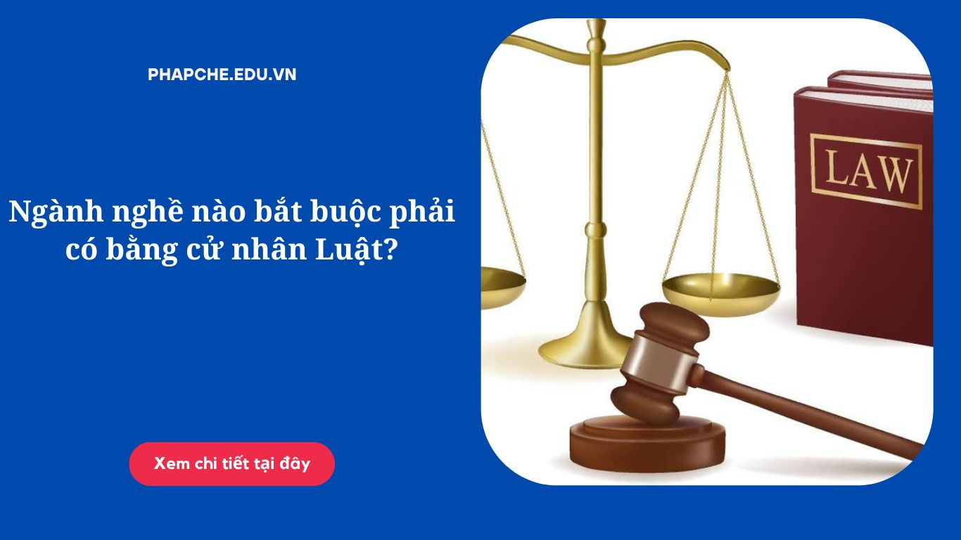 nganh-nghe-nao-bat-buoc-phai-co-bang-cu-nhan-luat