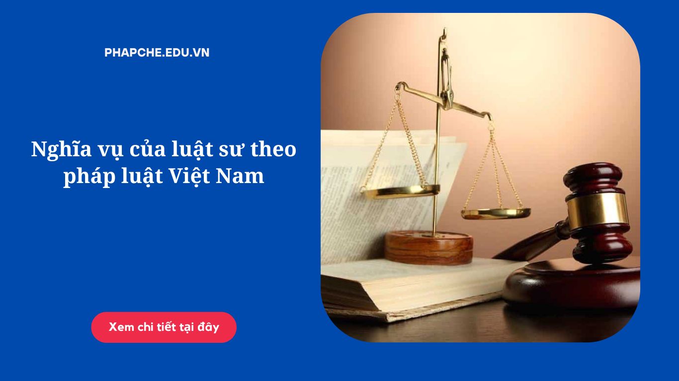 nghia-vu-cua-luat-su-theo-phap-luat